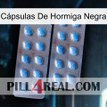 Cápsulas De Hormiga Negra viagra4